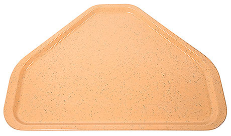 5366/486 Tray