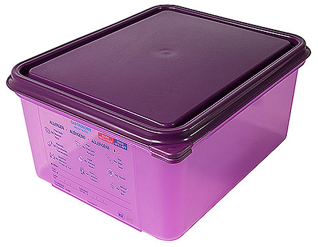5542/150 Polypropylene GN Container