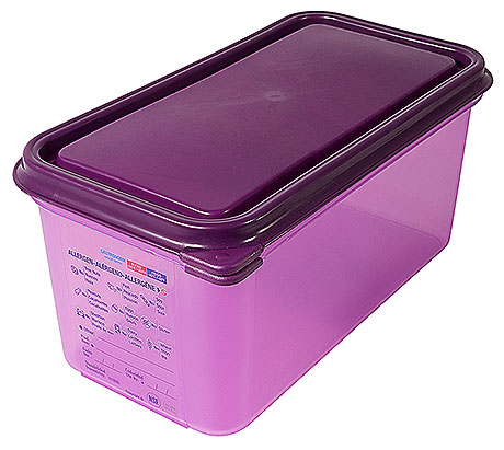 5543/150 Polypropylene GN Container