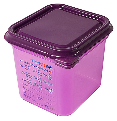5546/150 Allergen GN Container