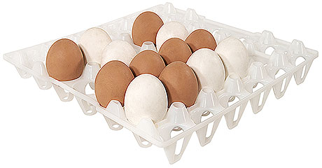 8034/030 Egg Tray