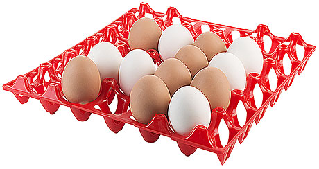 8034/031 Egg Tray