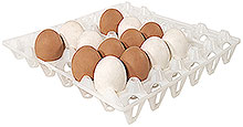 Egg Tray