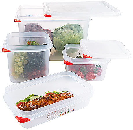 Gastronorm Food Container