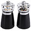 Acrylic Salt &  Peppermill